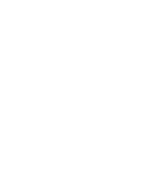 пользователь